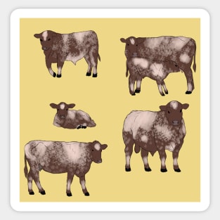 Shorthorn Cattle Pattern Yellow Sticker